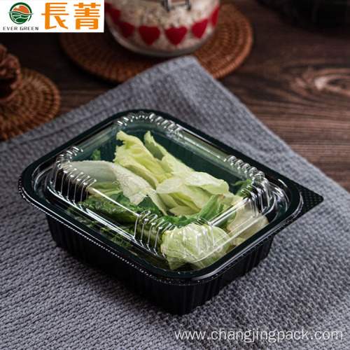 Custom Microwavable PP Rectangular Food Tray Sushi Trays